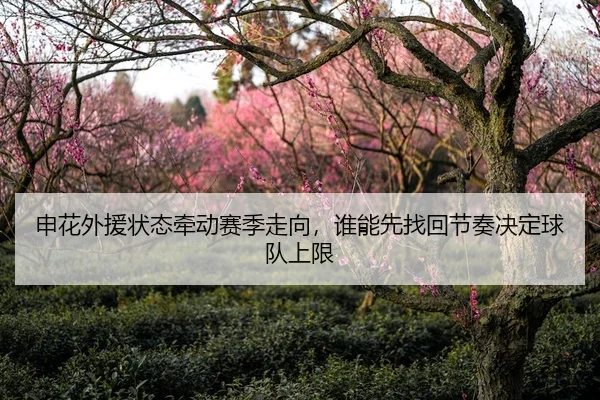 申花外援状态牵动赛季走向，谁能先找回节奏决定球队上限